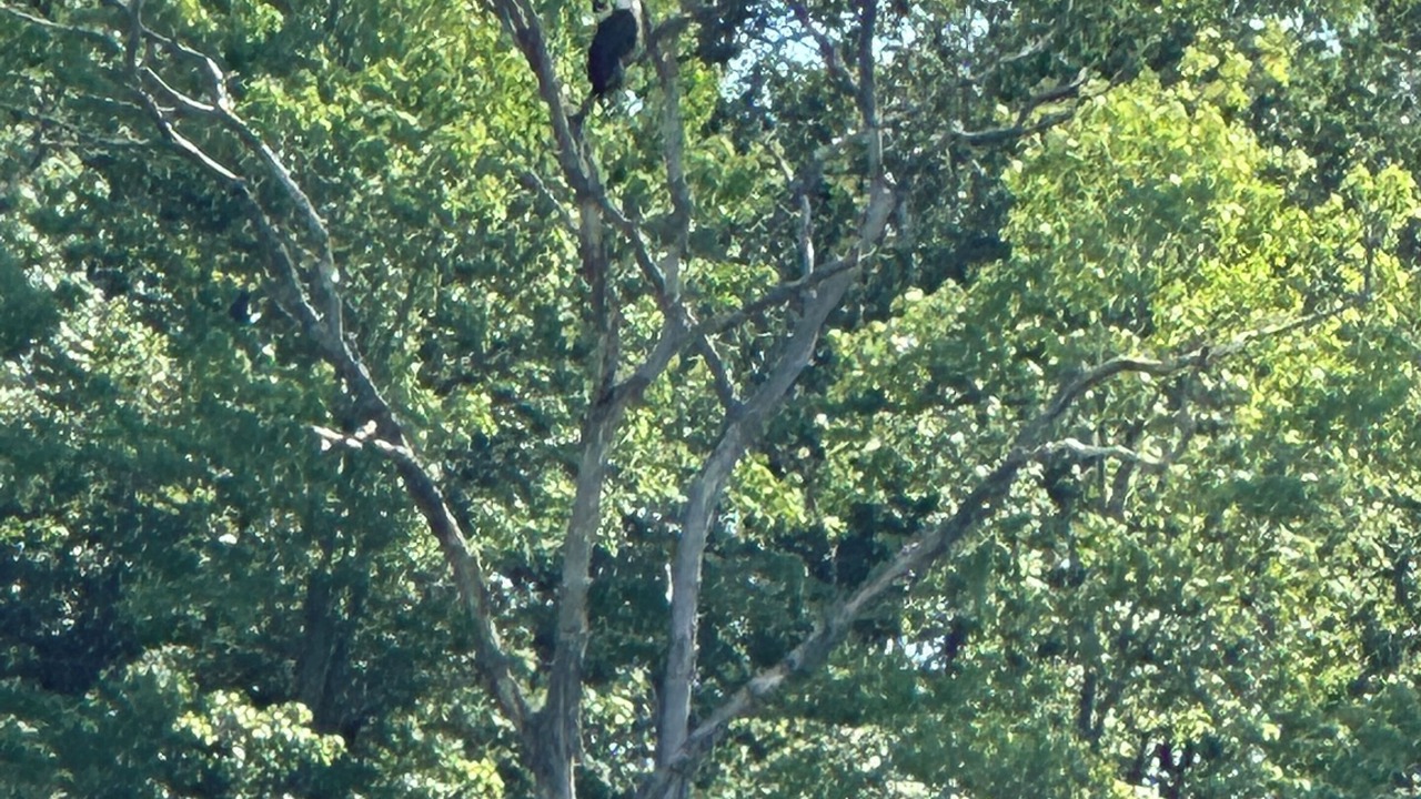 Photo of Others in Barryton