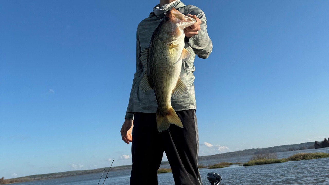 Photo of Others in Eufaula