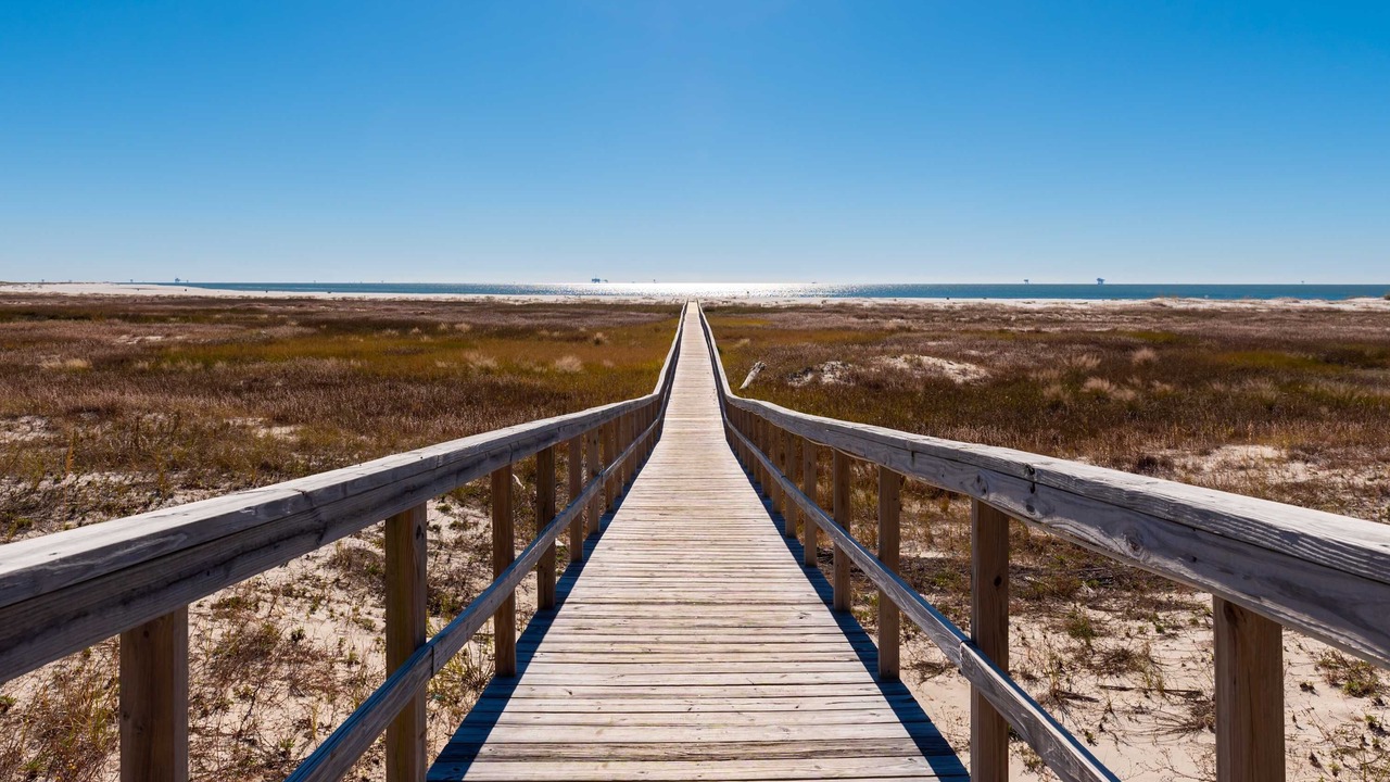 Photo of Others in Dauphin Island