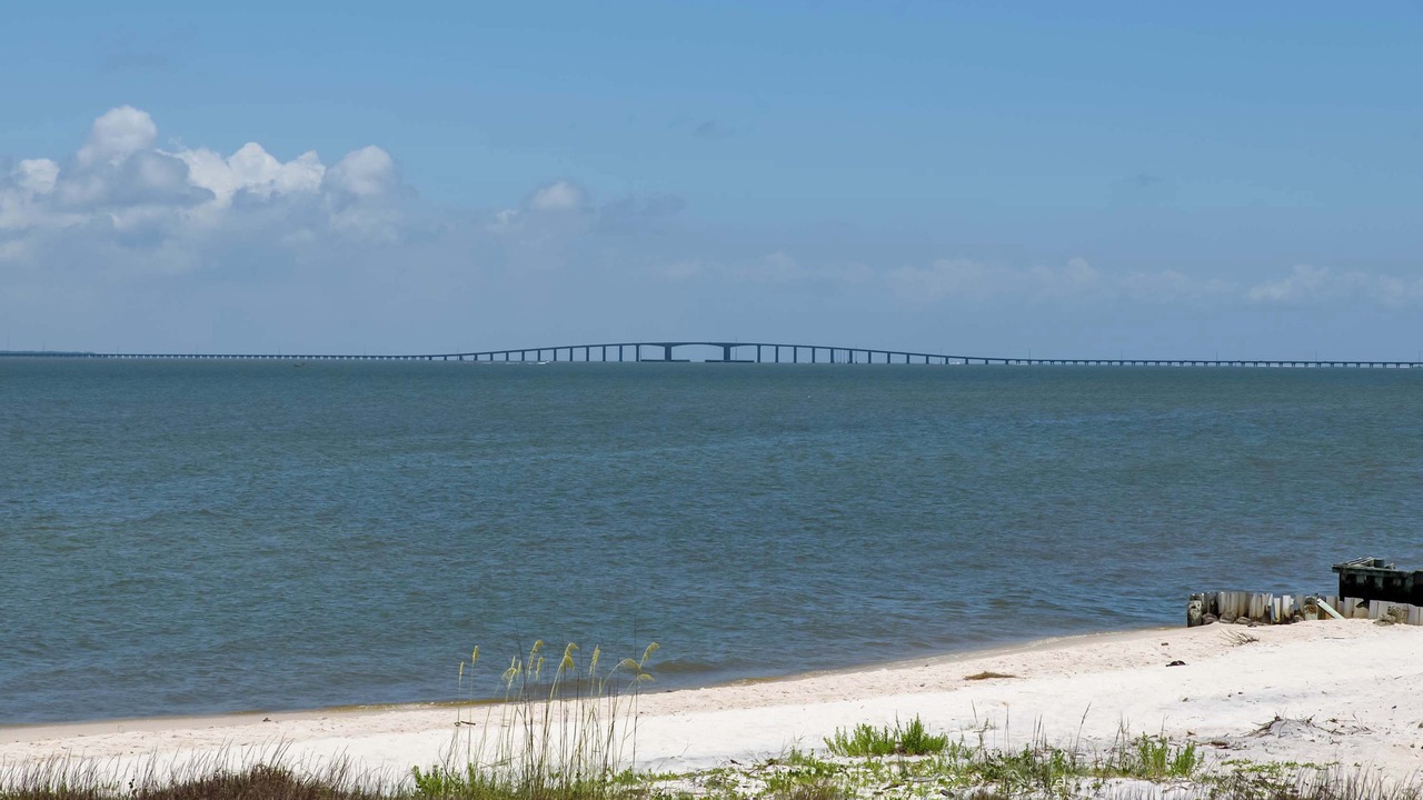 Photo of Others in Silver Cay