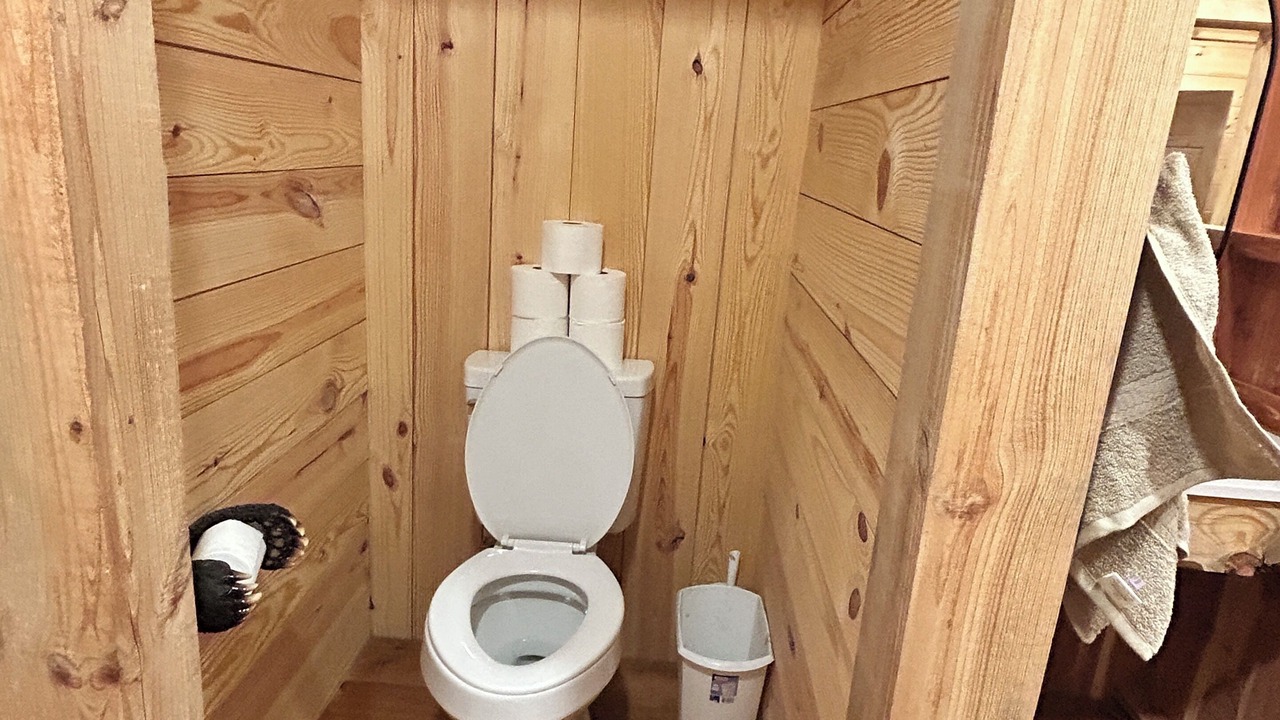 Photo of Bathroom in Joppa
