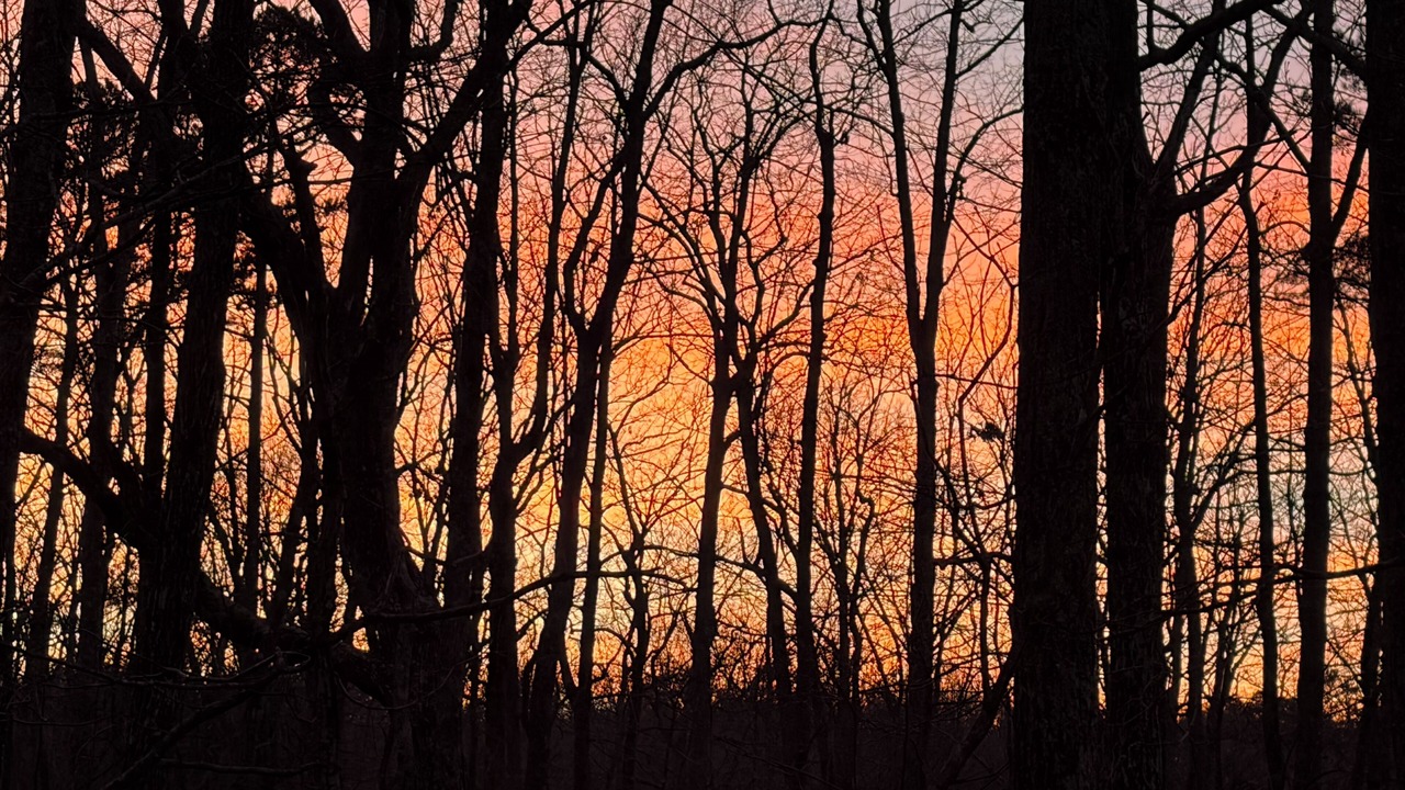 Photo of Outdoor in Mentone