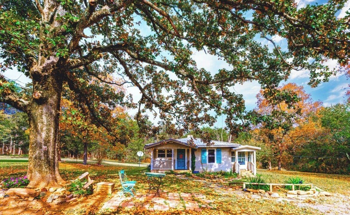 Photo of Outdoor in Mentone