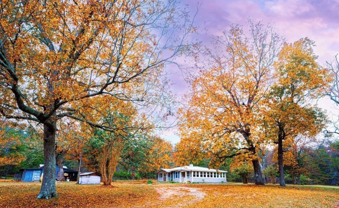 Photo of Outdoor in Mentone