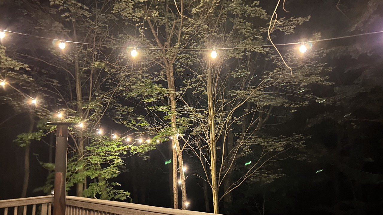 Photo of Outdoor in Manistee
