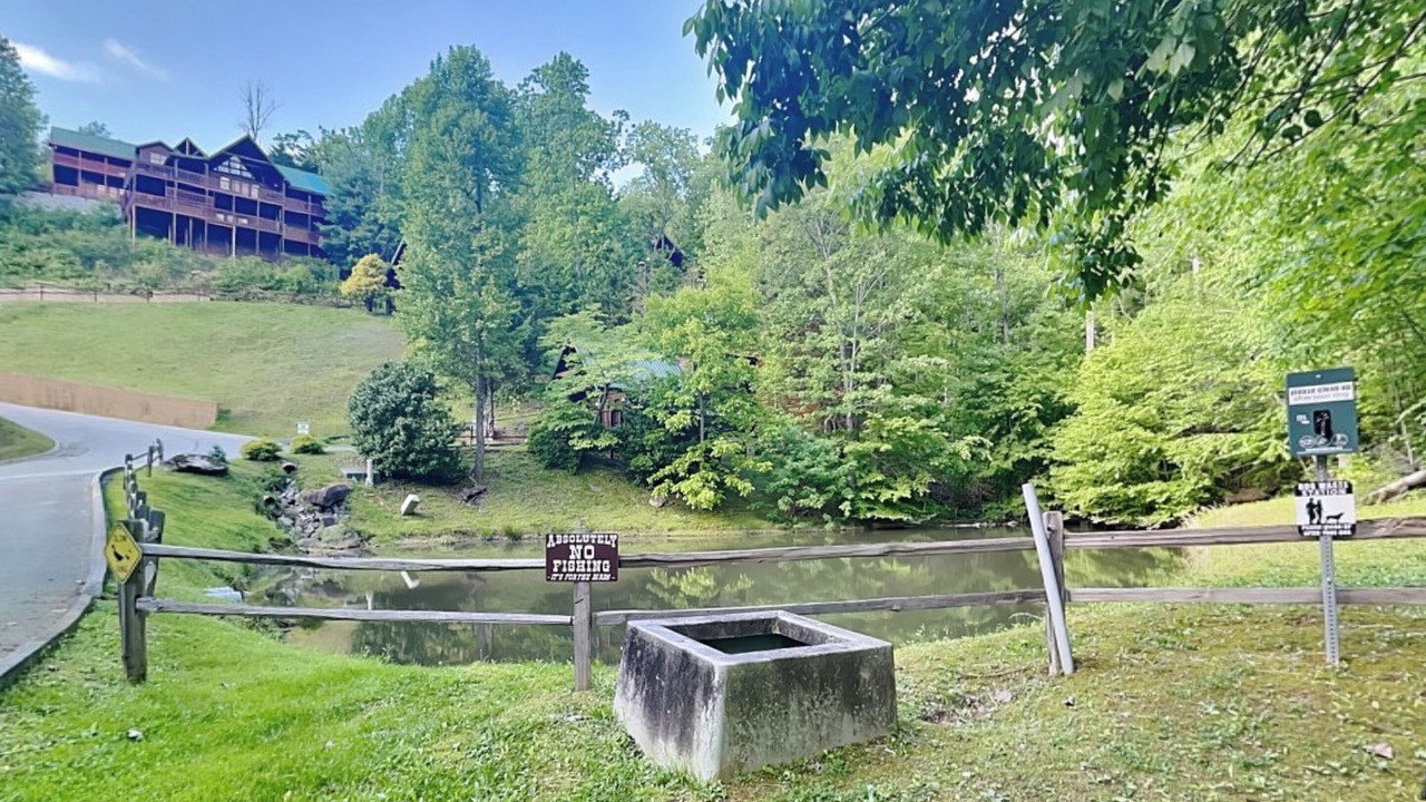 Photo of Others in Black Bear Falls