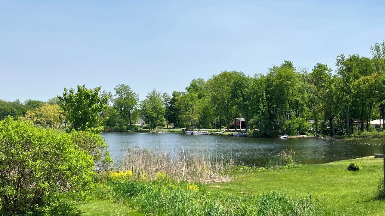 Photo of Others in Paw Paw Lake