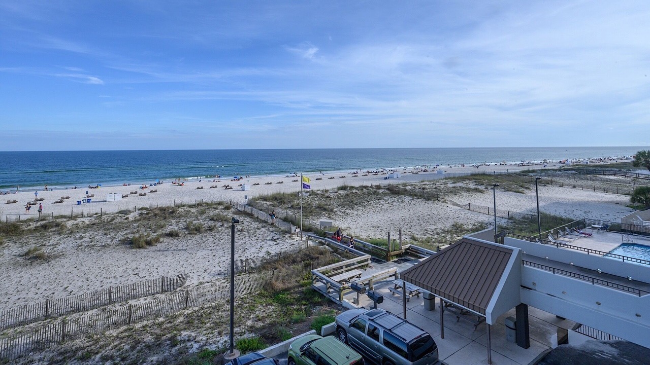 Photo of Others in Gulf Shores