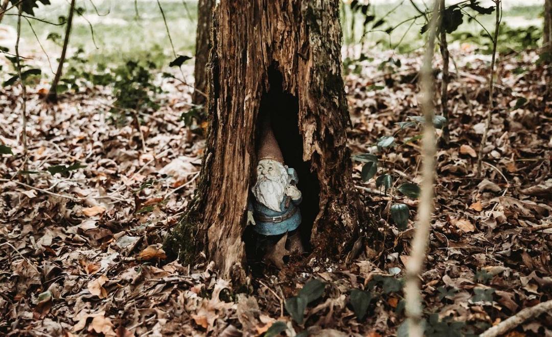 Photo of Others in Monteagle