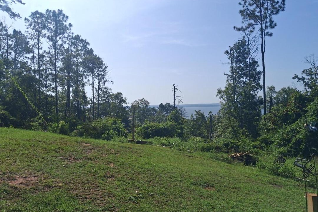 Photo of Others in Shorterville