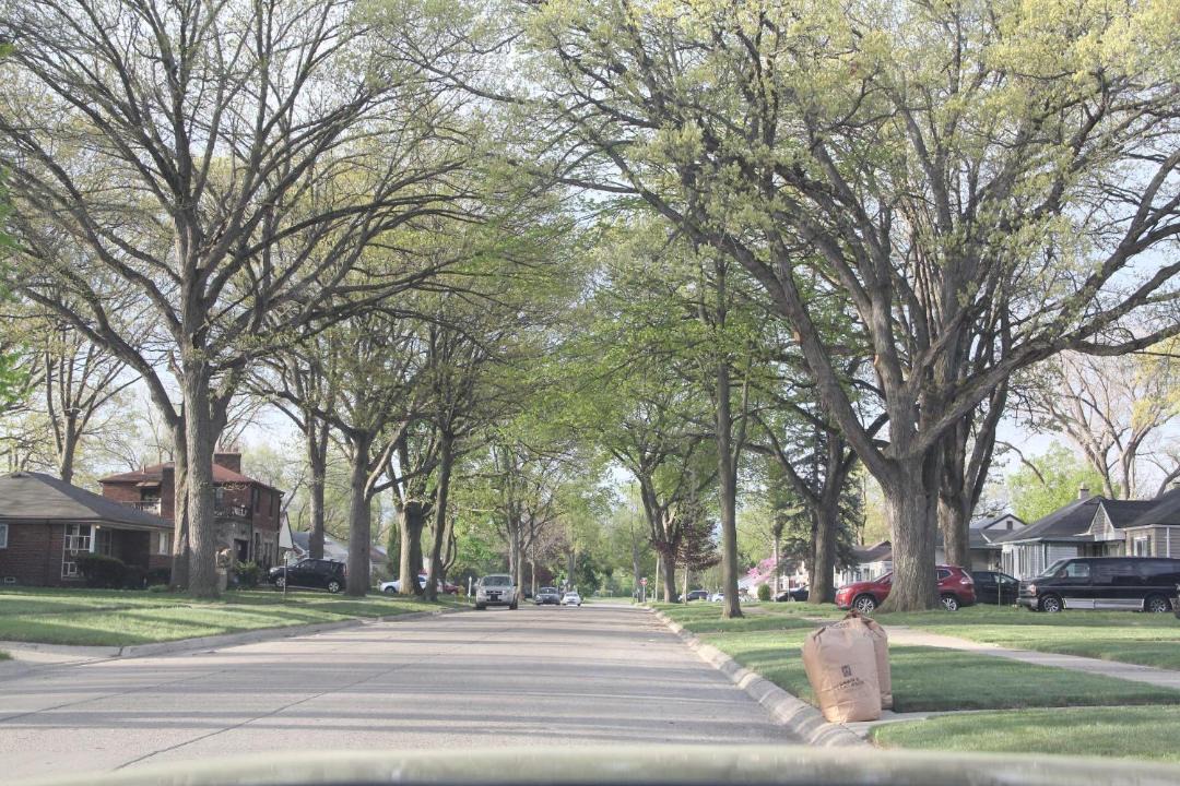 Photo of Others in Oak Park