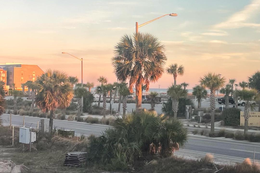 Photo of Others in Gulf Shores