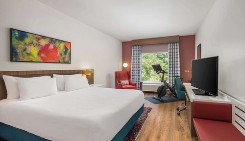 Room, 1 King Bed