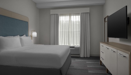 Suite, 1 King Bed, Accessible, Bathtub (Mobility & Hearing)