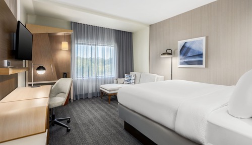 Room, 1 King Bed with Sofa bed