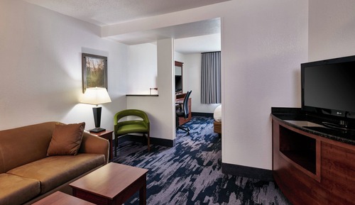 Suite, 1 King Bed with Sofa bed