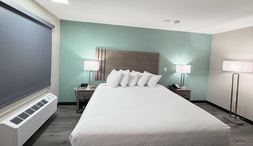 Room, 1 King Bed, Accessible, Non Smoking (Roll-In Shower)