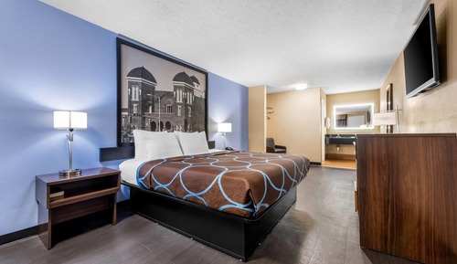 Room, 1 King Bed, Smoking (Pet-Friendly)