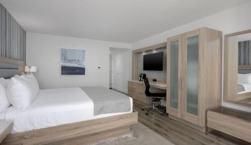 Standard King Room with Limited View