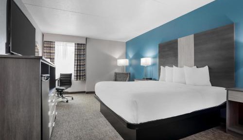 King Room - Pet Friendly/Non-Smoking