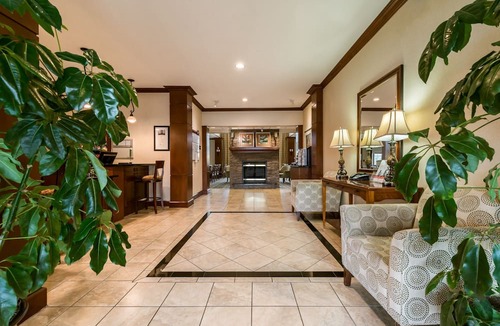 Oak Apartment | Complimentary Breakfast Buffet | Minutes from Shopping + White Sand Beaches