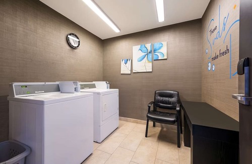 Novi Hotel | Perfect Room for Pet Owners Seeking a Relaxing Getaway with Swimming Pool