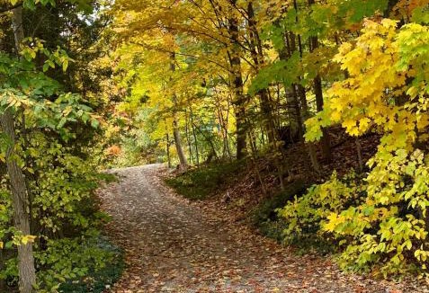 Traverse City House | Latitude Adjustment