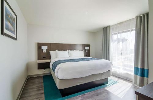 Gulf Shores Hotel | Comfort Inn & Suites Gulf Shores East Beach near Gulf State Park