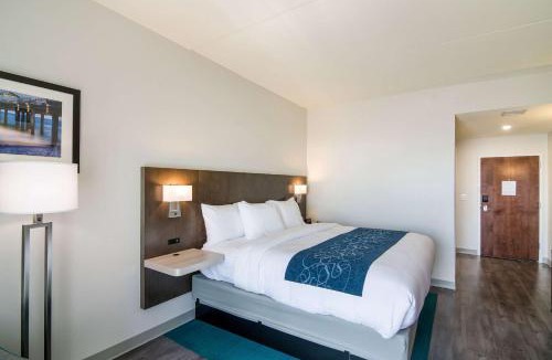 Gulf Shores Hotel | Comfort Inn & Suites Gulf Shores East Beach near Gulf State Park