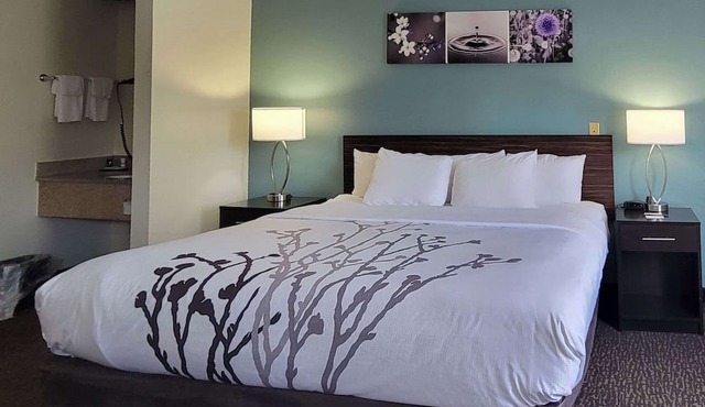Sleep Inn Bessemer Helena