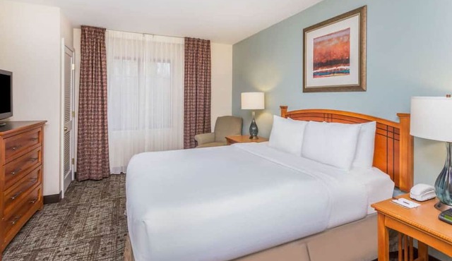 Look No More! Contemporary 1BR Suite with Full Kitchen, Pets are Welcome!