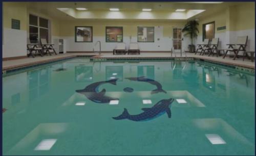 Red Roof Inn PLUS & Suites Birmingham - Bessemer