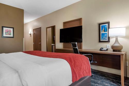 Comfort Inn & Suites Downtown near University